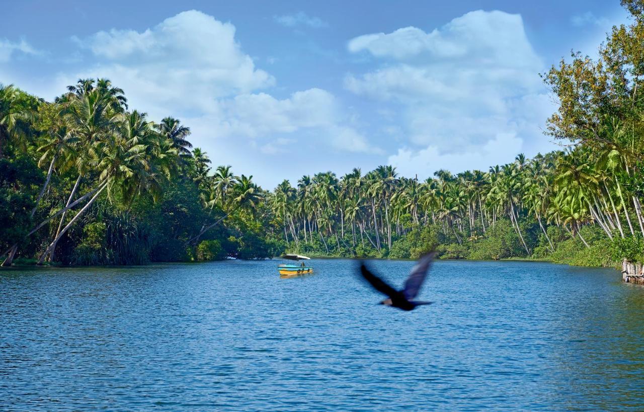 Estuary Sarovar Premiere Poovar Island Esterno foto